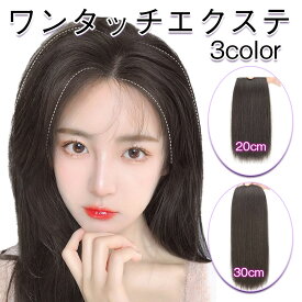 襟足 ウィッグ 増毛 エクステ サイド 頭頂部 部分 薄毛 ボリュームアップ ストレート 自然 20cm 30cm クリップ ポイントウィッグ 盛り髪 つけ毛 レディース 2個入り