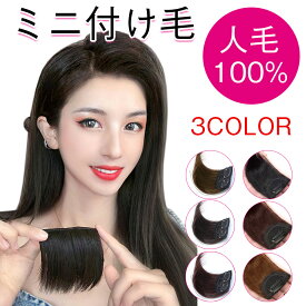 ミニ付け毛 ウィッグ 人毛100% 自然 サイド 襟足 頭頂部 薄毛 ボリュームアップ ストレート ショート 10cm クリップ イメチェン エクステ 部分ウィッグ