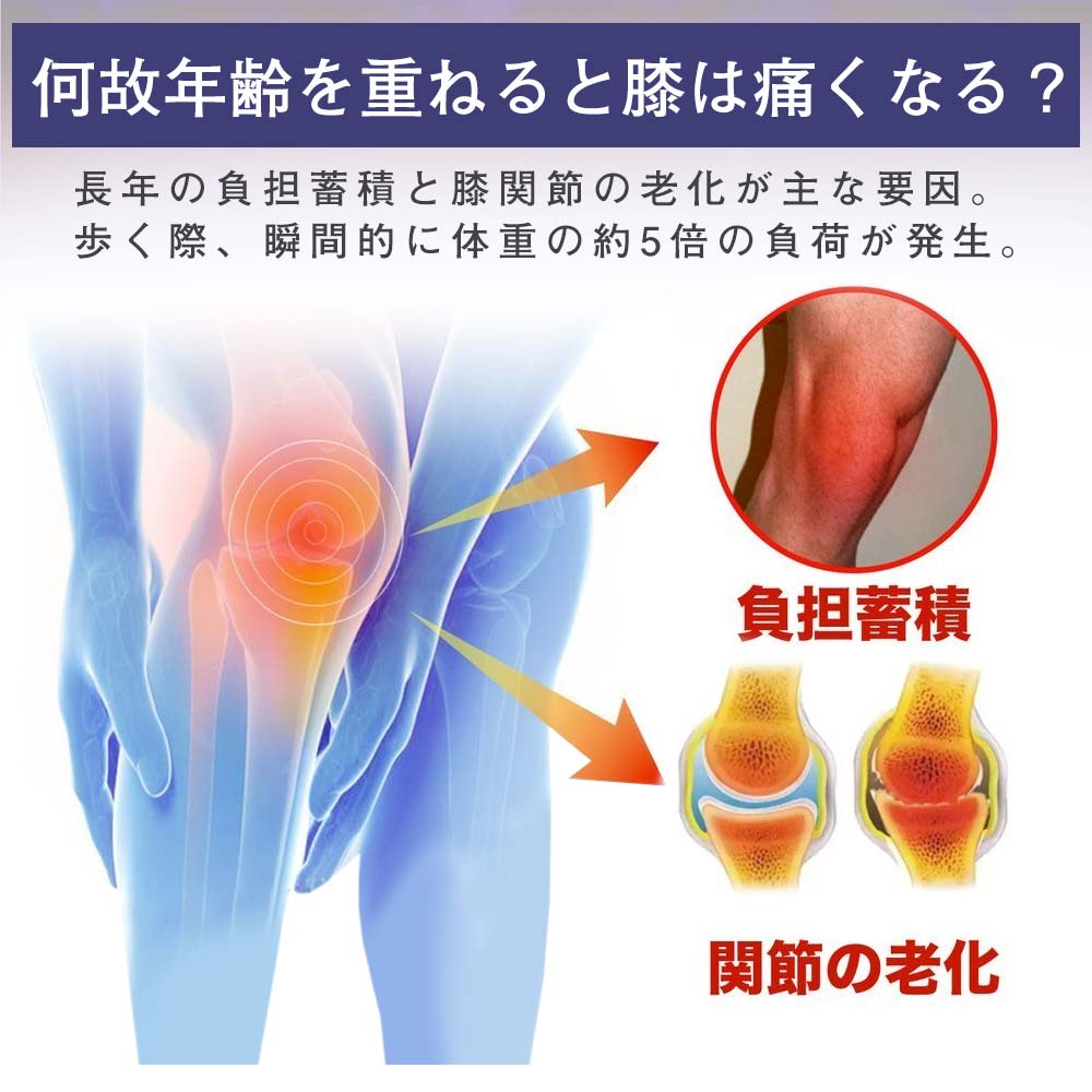 楽天市場】膝 サポーター 半月板 前十字靭帯 膝蓋骨 膝関節 保護 固定
