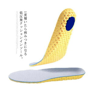 3Zbg Ռzpbht C\[ ~ ᔽ NbV _炩 RۖhL ʋC  22.5-26cm d  ʋ A[`T|[g oR oXPbg ^