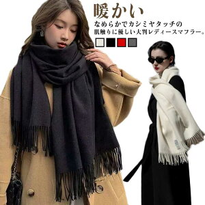 Xg[ 唻 JV~ 唻 H w ^b` V[ Y }t[ t Ă΂ w  HD Ђ|  n \    fB[X ~ w Z l NX}