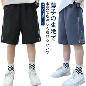 Y{  ڐG⊴ LbY Zp  p ̎q ⊴ n[tpc Chpc W[W XEFbg q j̎q X|[c _X ct w w WjA 