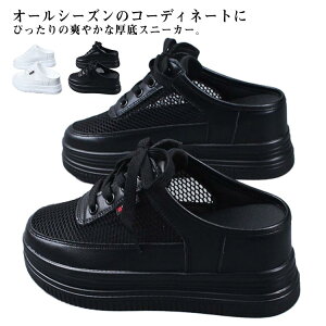 jOV[Y ʋC Xj[J[  bV [t@[ T{T_ [Jbg RtH[g y Xb|  T{ T_ rWlX T{T_ fB[X ^C 