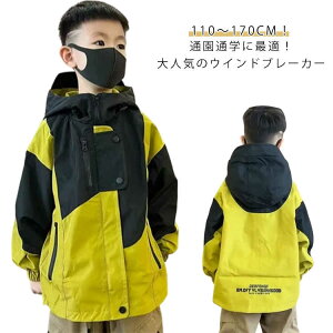 EChu[J[ ̎q LbY LbY }Eep[J[ HD q AE^[  Wp[ LbYR[g LbY  y j̎q 㒅 t[ht WPbg q LbY