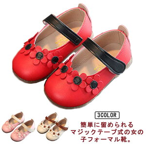 H 13.5-19cm LbY oGV[Y bh  t ǂ qC v[g x[W sN tH[}C  t[ qǂC \ tH[}V[Y  vZX hX