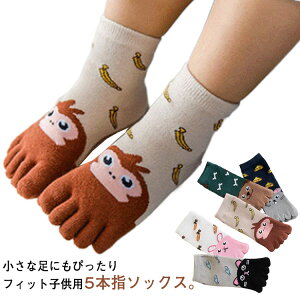 ܖ{w wZ 5{w\bNX t N[\bNX q ~ v[g LbY C  H qǂp Ȃ  2Zbg O\h Mtg z 킢  z W