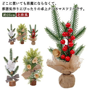 u  I[ig NX}Xc[ ~jNX}Xc[ 25cm    ~jc[ NX}X e[u CeA    c[ ^ X  f