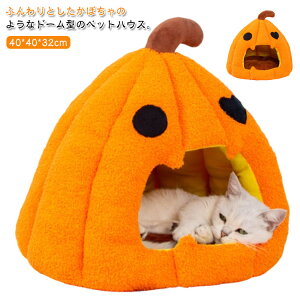 xbh LbgnEX ybgnEX h[^ ybg nEB h[nEX ڂ ybgxbh L J{` ~ NbVt ybgpQ ۉ h 􂦂 ΍ n