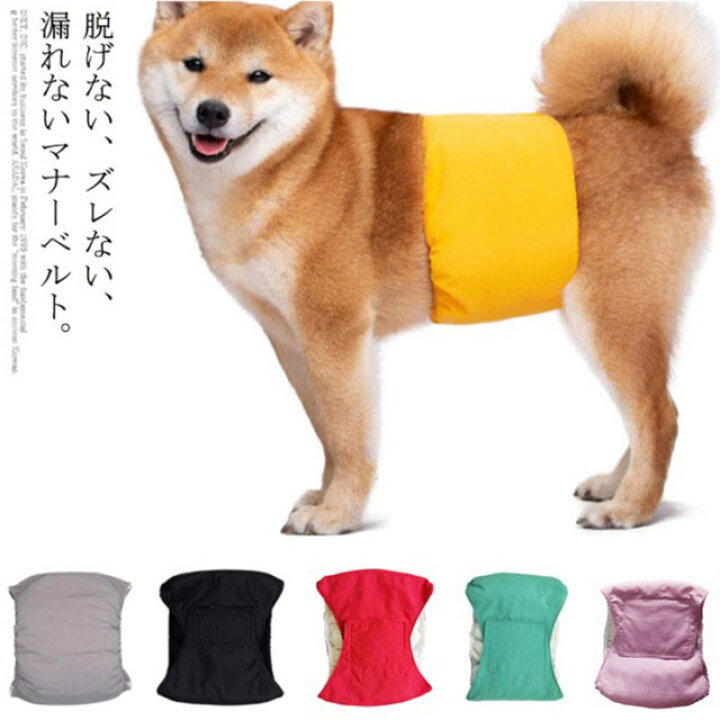 楽天市場 犬用 マナーベルト 男の子 マナーウェア おむつカバー いぬ用 トイレ用品 マナーバンド 生理用 犬服 マーキング防止 尿もれ オシッコ対策 しつけ ドッグウェア ズレ防止 小型犬 中型犬 大型犬 ペットウェア 無地 ペット服 介護 犬の服 生理用品 お出かけ 散歩