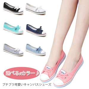 RȂ t  킢 fB[X V[Y C [Jbg tbg ؂ K ₷ LoX JWA s Xj[J[ ɂ Vv Xj[J[T_ T