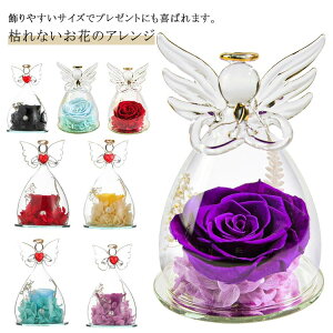 GWFKXh[ ͂Ȃ ސEj ̓ ̓Mtg Mtg KXh[ җ av[g v[g vU[uht[   킢 KXh[ a