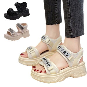 X|[cT_ RtH[gT_ T_ fB[X   y q[ LL ʋC AEghA 傫TCY  Ȃ Xj[J[ q[5CM 