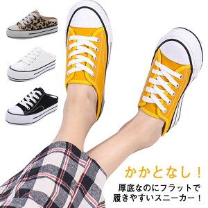 ₷ LoX V[Y 5.5cm Xj[J[ X|T up Xj[J[ Ȃ fB[X  LoXXj[J[ Xb| [Jbg T_ ₷ wlC r 