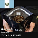 GUATEMALA グアテマラ アゾテア農園 SHB 200g