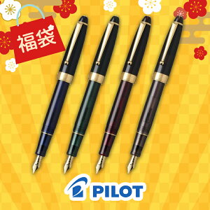 �y20��20���`27��01:59�܂Ł@�X���S�i�|�C���g5�{�z�y2026�N ���܁zPILOT �p�C���b�g CUSTOM NS �J�X�^��NS ���N�M FKNS-1 �~�X�e���[�u���[ �l�C�`���[�O���[�� ���r�[���b�h �A�h�x���`���[�u���E��