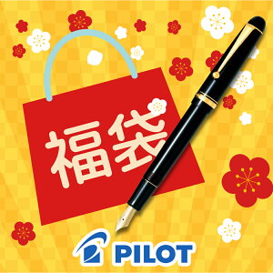 �y2026�N ���܁z�p�C���b�g PILOT �J�X�^��74 ���N�M �u���b�N �� FKKN-12SR-B