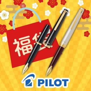 �y2026�N ���܁zPILOT �p�C���b�g ���N�M �G���[�g95S FES-1MM