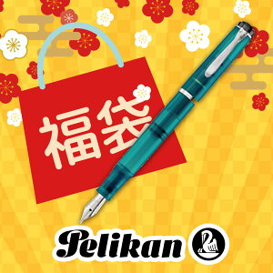 �y2026�N ���܁zPelikan �y���J�� �N���V�b�N M205 �A�p�^�C�g ���N�M