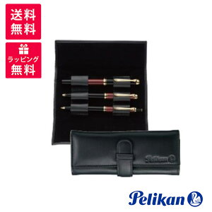 PELIKAN �y���J�� ���U�[�P�[�X 3�{�p FC-1 �u���b�N �y���P�[�X
