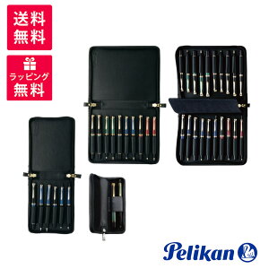 PELIKAN yJ U[P[X 2{p TGX-2 6{p TGX-6 10{p TGX-10 20{p TGX-20 ubN yP[X