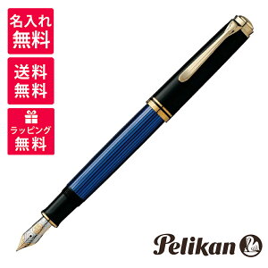 yꖳz yJ PELIKAN X[x[ NM M800 u[ 