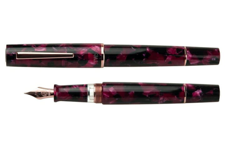楽天市場】TWSBI ツイスビー 特別生産品 Draco ドラコ 万年筆 : 高級 
