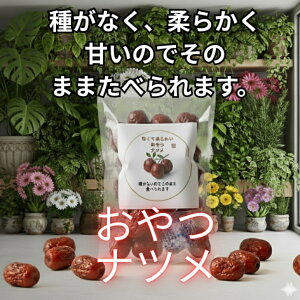 y [Ȃ߂Ƃ zȂ߂̒łBȀŎRĂnȂ߂łBnɁA1JɎ𔲂ĎdグĂ܂B