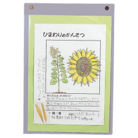 掲示ホルダー B5判用 A4判用 A3判用 作品展示ホルダー ポスター 絵 記録 観察 発表 学習 作品 小学校 中学校 高校 学校 イベント