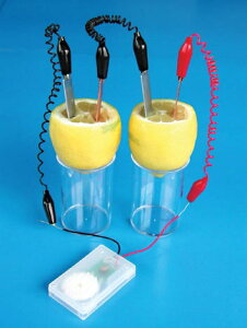 ̓drZbg R Lbg   Ȋw w ċx ~x j̎q ̎q V 