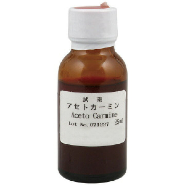 楽天市場 アセトカーミン液 25ml 酢酸カーミン液 教材club ｔ ｙ