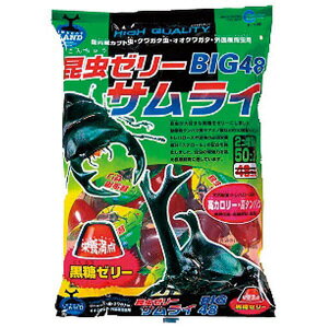 [[TCBig48@(50)y@ώ@z