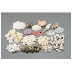 �V�F���A�\�[�g 1kg �L���� �L�k �N���t�g �H�� ���� ���R���� ���̂Â��� DIY ���킢��