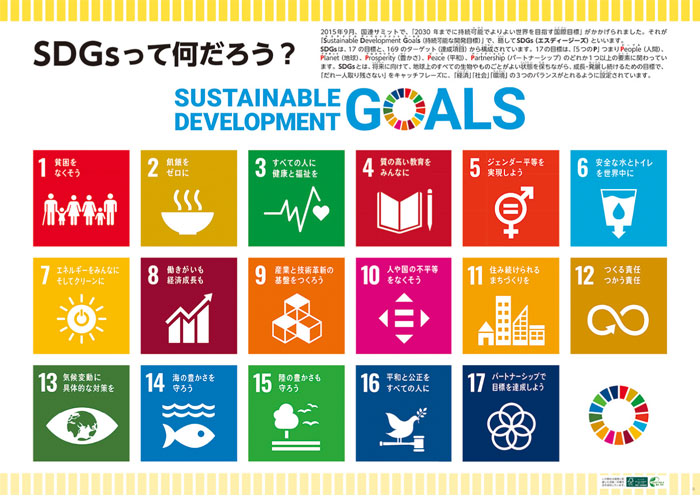 SDGs 持続可能な開発目標 の基本を知ろう NEW ＳＤＧｓって何だろう？ 送料無料激安祭 ポスター版