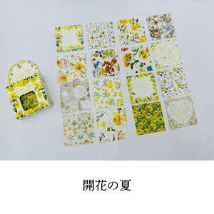 gh[K[fXebJ[ 48P V[ t[NV[ ԕ ` 킢   蒠fR XPW[ 莆 R[W fR[V Ai  sN F  