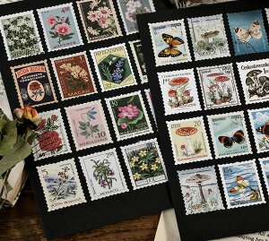 V[ g؎V[Y2e 46 蒠fR fR[V XPW[ 莆 킢  IV R[Wf