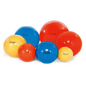 バランスボール 55cm ギムニクの人気商品 通販 価格比較 価格 Com