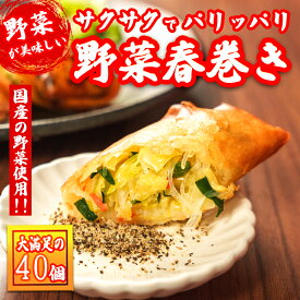 【週間ランキング1位】（送料無料）神戸でしか買えなかった手作り野菜春巻き　40本中華点心　惣菜　弁当