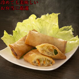 人気点心セット【ショウロンボウ11個】【ぎょうざ20個】【春巻き10本】【焼売9個】【海老餃子8個】【にら水餃子15個】