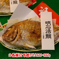 早期予約お正月用祝鯛【焼鯛4000円】を一割引