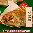 明石焼鯛3〜4名さま位の大きさ＜焼き鯛8月上旬発送分＞【長寿のお祝い・お食い初め祝膳に焼き鯛】