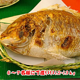 早期予約お正月用祝鯛【焼鯛12000円】を一割引