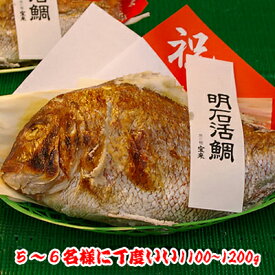 早期予約お正月用祝鯛【焼鯛10000円】を一割引