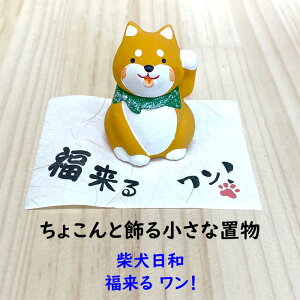 Ča@ I@ȃCku@@ČD@D@~jTCY