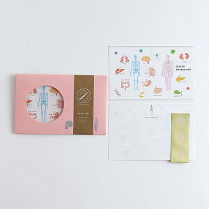STUDY HOLIC ^[Zbg@lސwy[֑Ήzgreenflash O[tbV wׂ郌^[Zbg l̐} w╿ j[Nȕ  Zbg 莆  Xe[Vi