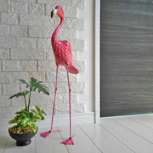 t~S Flamingo 50cm qg nCA rbW CLL r[` ][g An o[hIuWF Aj} AWAeCXg nhCh AWAG oG