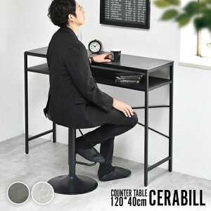 gFX Z~bNV JE^[e[u 120cm s40cm 90cm AC Ƒ nCe[u ܂Ȕ Z~bN Vt  X ϔM [ ACA rO Ce