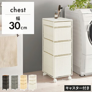 قڊi lH^ h[`FXg X 30cm yz h[[ o LX^[t ȃXy[X vX`bN ^  Vt ʏ Ԏ[