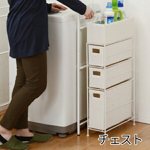 おしゃれ ランドリーラック 収納 通販 価格比較 15ページ目 価格 Com