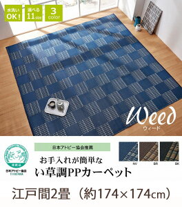 {Ags[E􂢑 PPJ[ybg ]ˊ 2 i174×174cmj ėpJ[ybg Z^[O vX`bN  􂦂 ėp O}bg   { i Y