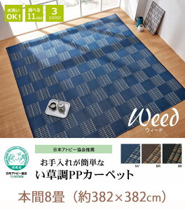 {Ags[E  PPJ[ybg { 8 i382×382cmj ėpJ[ybg Z^[O vX`bN  􂦂 ėp O}bg   { i Y ` 